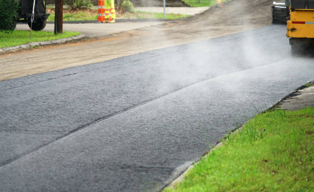 Best Best Driveway Pavers  in Lugoff, SC